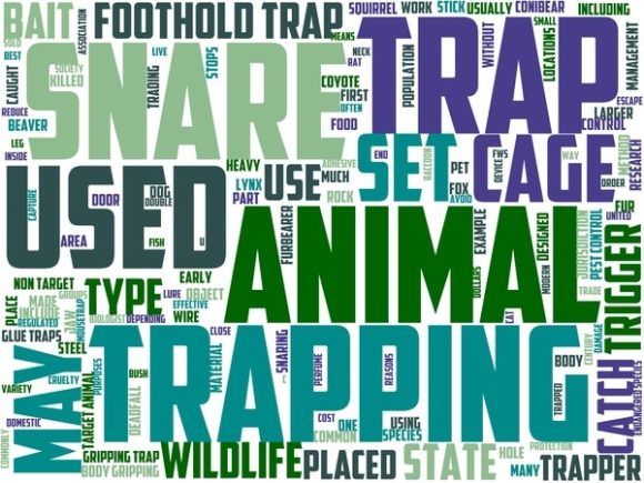 Rapping Wordart Skinny Tumbler: A Creative Tool for Expression and Design